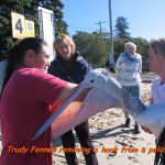 Trudy removing hook from pelican