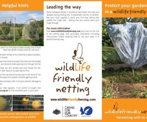 Flying fox friendly Nets for fruit trees_Page_1_result