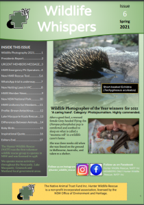 Hunter Wildlife Rescue Spring 2021 Issue #6