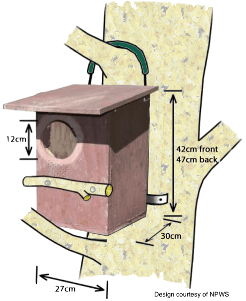 how to build a possum box
