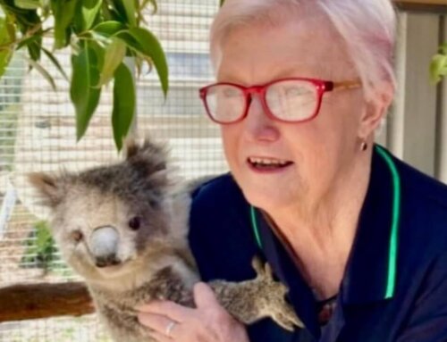 Vale Audrey Koosmen OAM – A Champion for Australian Wildlife