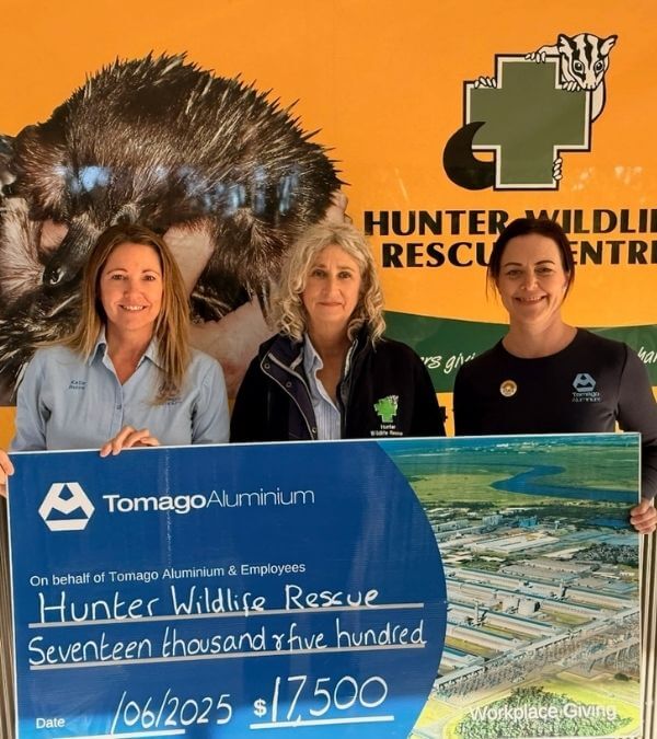 workplace-giving-newcastle-hunter-charity-wildlife
