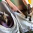 Macropod Rescue Training Course