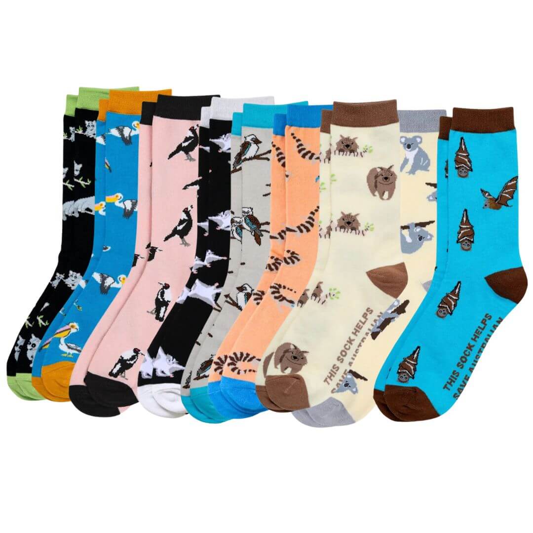 Wildlife socks for Father's Day